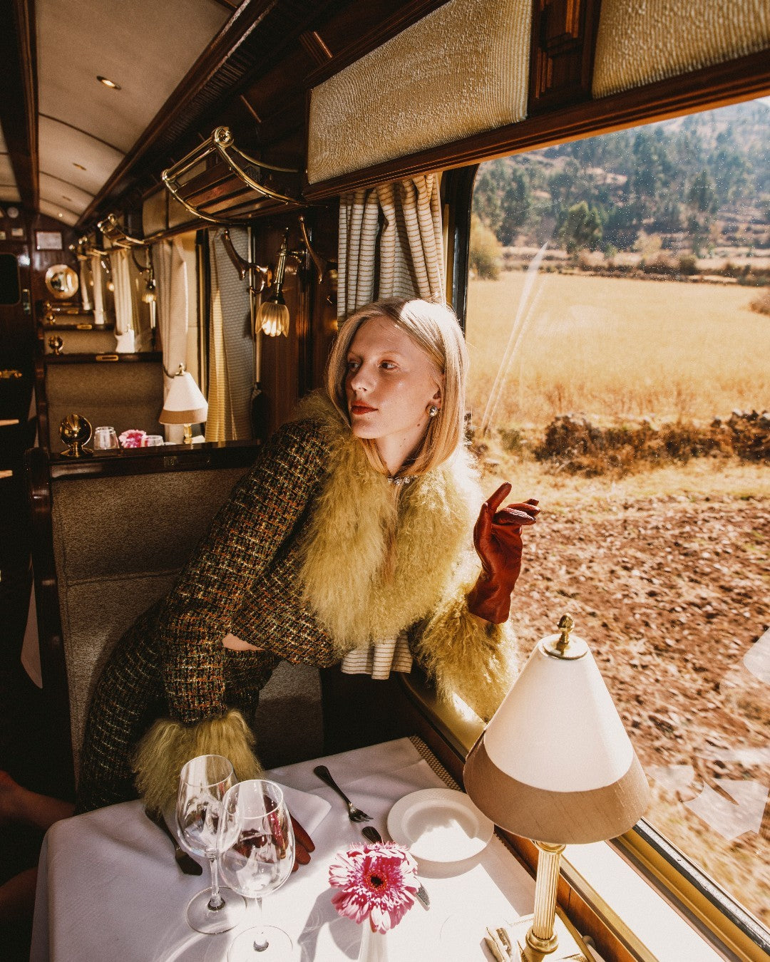 Passagère dans un train de luxe traversant les paysages andins du Pérou avec vue panoramique depuis la fenêtre.