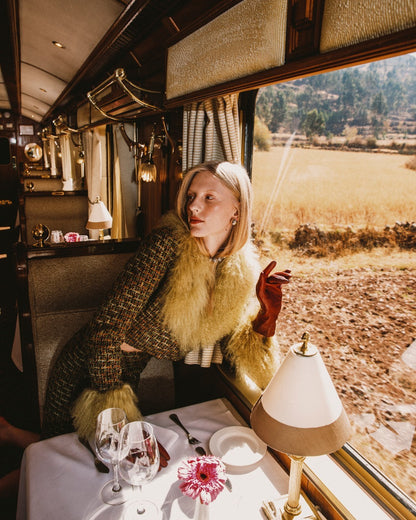 Passagère dans un train de luxe traversant les paysages andins du Pérou avec vue panoramique depuis la fenêtre.