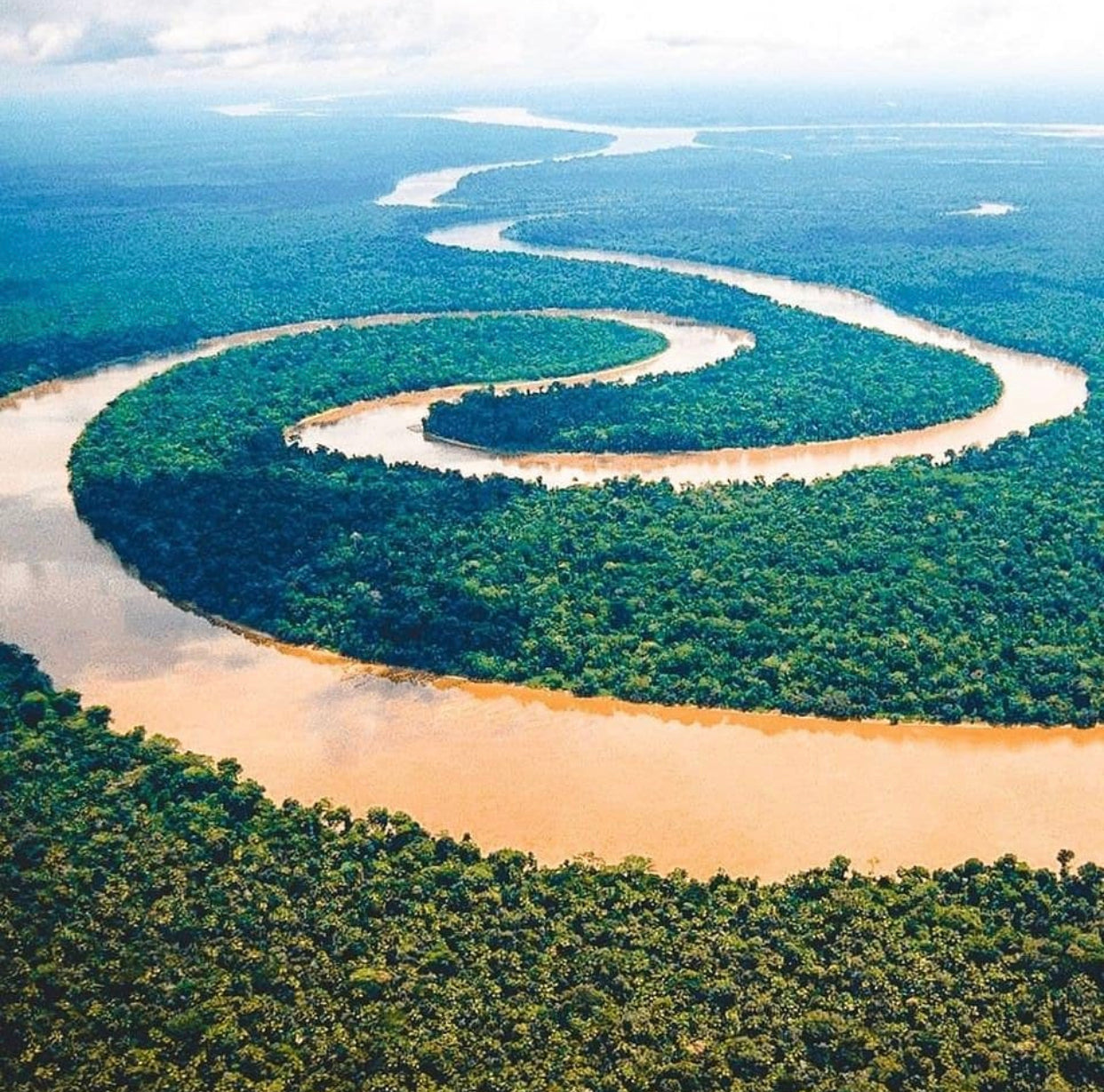Vue aérienne d’une rivière sinueuse traversant la forêt tropicale de l’Amazonie au Pérou.